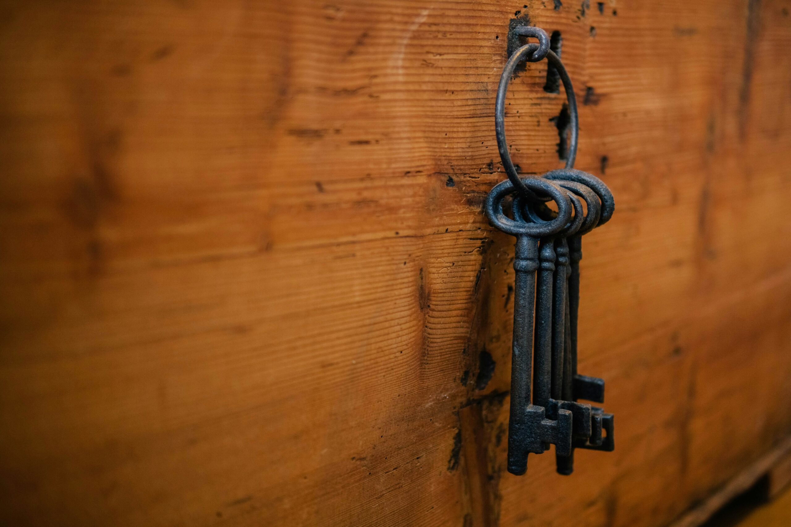 silas-kohler-C1P4wHhQbjM-unsplash Eine Grafik mit 5 bunten Schlüsseln, welche die Schlüsseltechnologien für Edge-KI darstellt